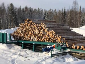 Приемный транспортер бревен